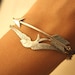 Silver Arrow and Silver Bird