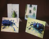 Pure Weevil Note Cards - Linen Finish