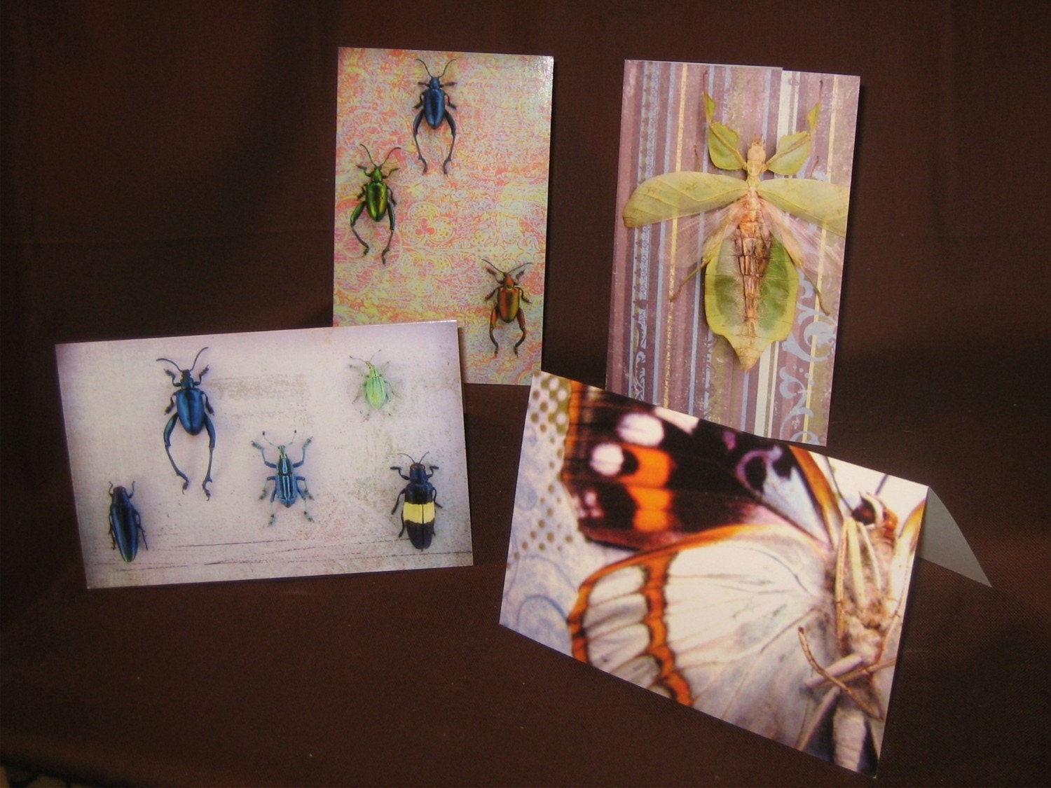 Insect Art Large Notecards