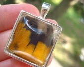 Real Moth Wing Pendant Necklace