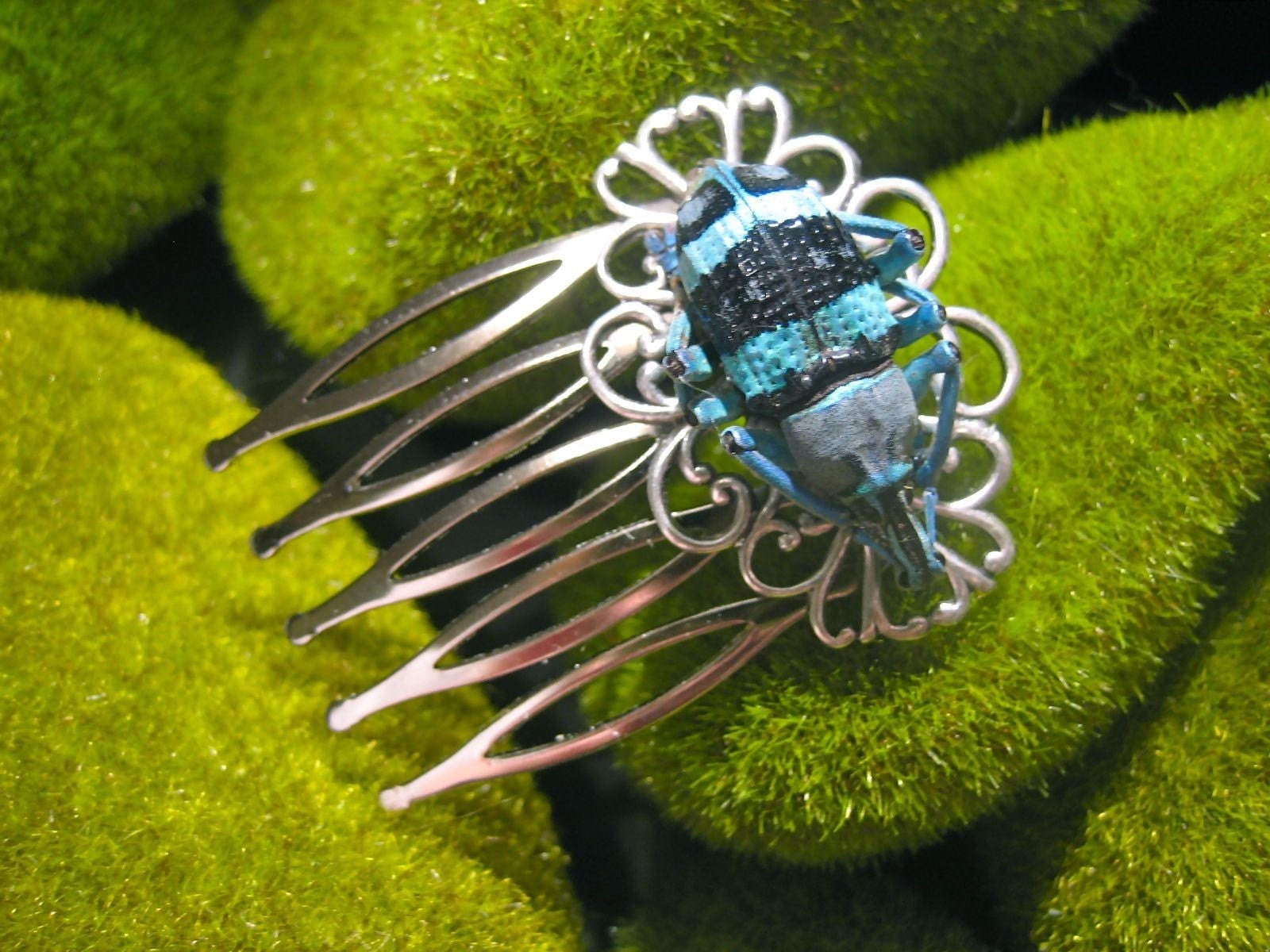 Weevil Hair Comb
