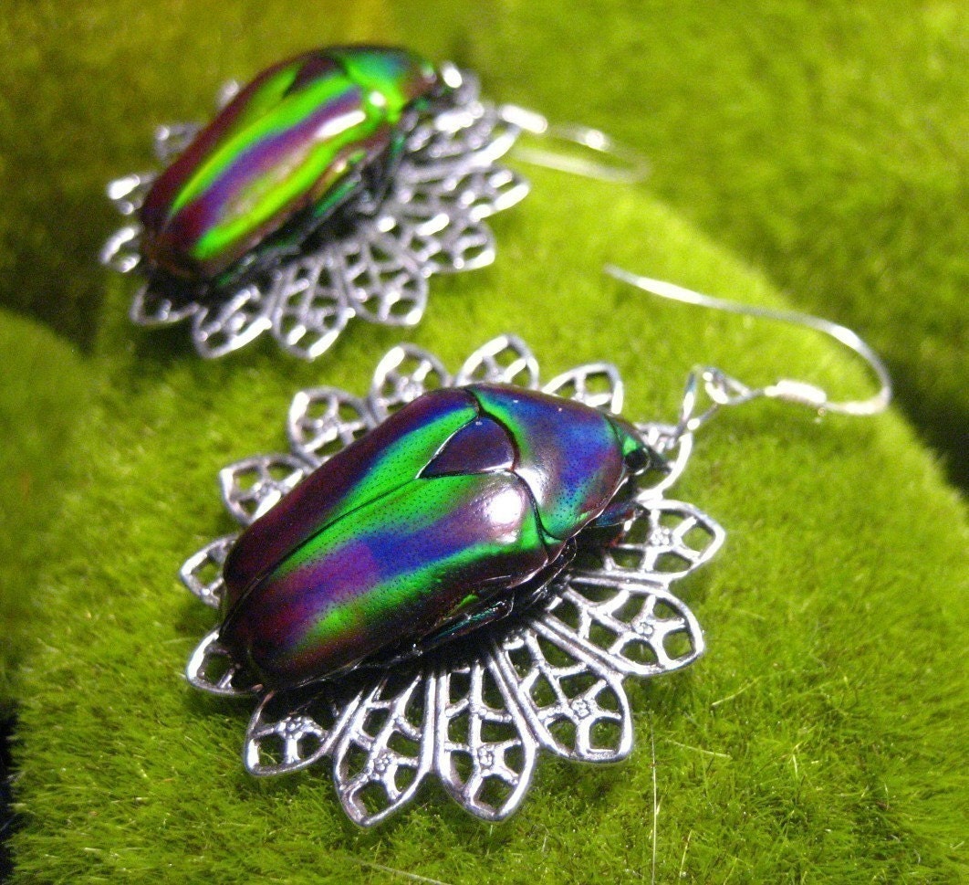 Blue and Green Beetle Earrings