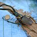 OOAK Gold Medal Beetle