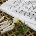Mr. Darcy Proposal Dish Towel
