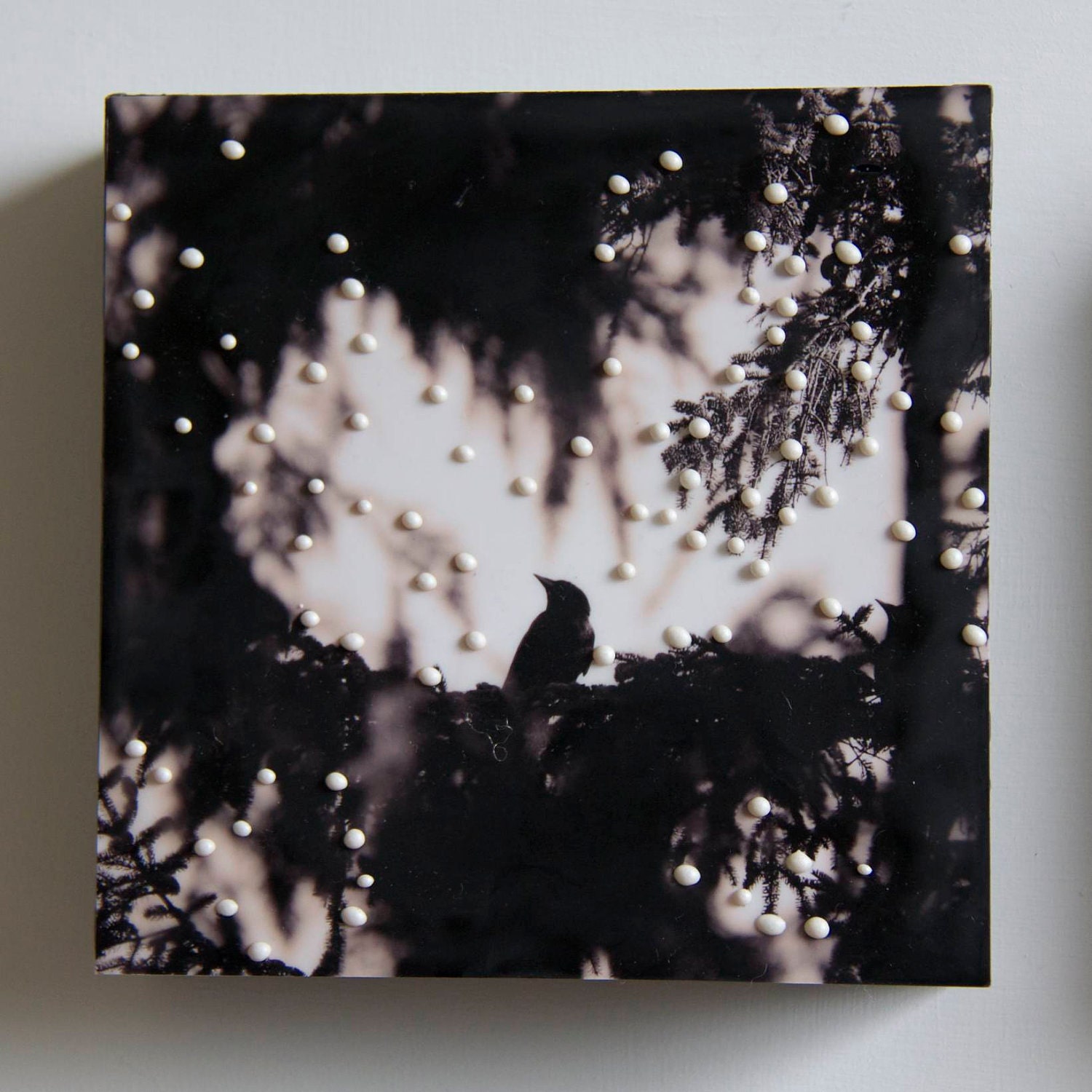 Blackbird in the trees Original Encaustic Art Silver Tofino Series 1 of 6 available