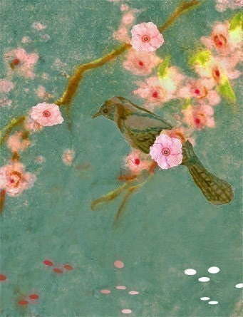 Bird in the Cherry Blossoms Print - Free Shipping