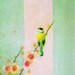 Between Bird - Modern Art - Fine Art Print