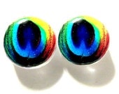 Jewelry SALE Peacock Post Earrings. Art, Resin, and Glass, Peacock Stud Post Earrings: Peacock. Sale Item of the Week