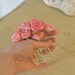 Vintage Pink - Wild Roses Fairy Lights