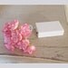 Vintage Pink - Wild Roses Fairy Lights
