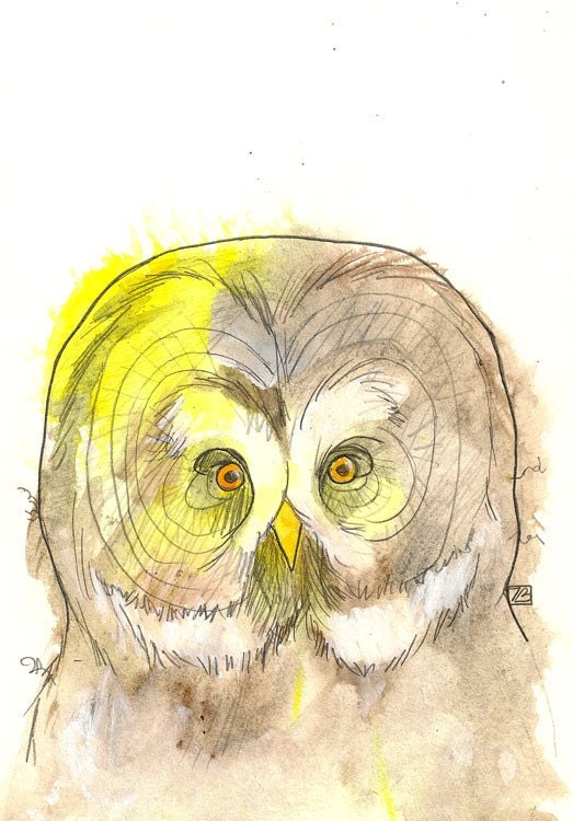 Great Grey Owl (Mixed Media Portrait), 8X10 Art Print