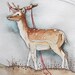 Watercolor Painting on Paper - Sometimes I Still Need You