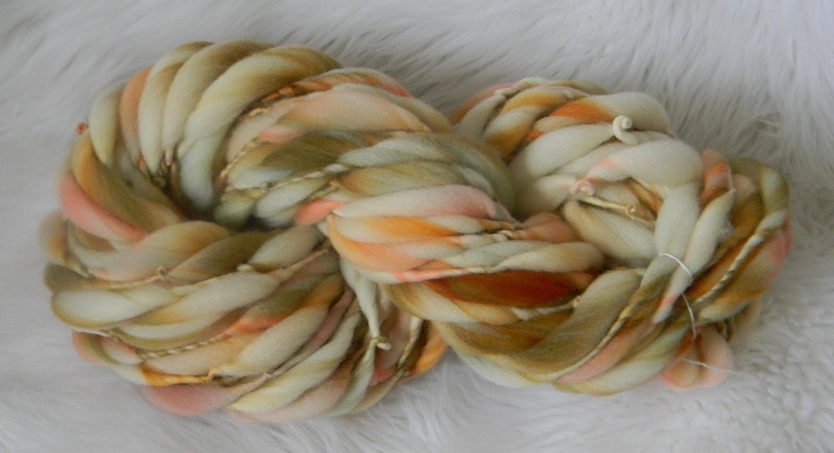 Sea Shells 29  yards Thick n Thin Merino