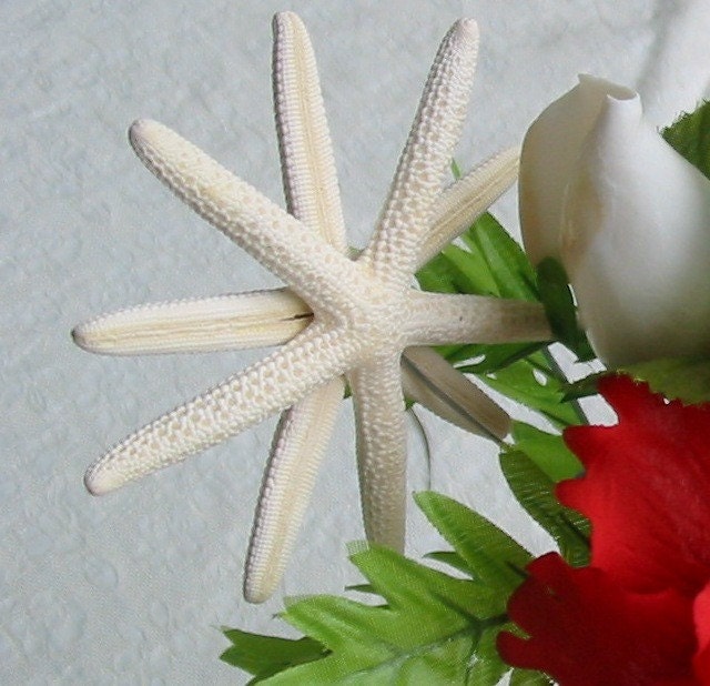 3 Double Starfish Flower picks