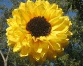 12  Large Open Tissue Paper Sunflowers, Gerbera Daises, Poppies, Pews, Chairs, Hang, ribbon, ready to use