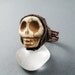 Ring - Magnesite Skull and Copper - Crossing the River - Clearance