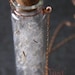 Just Me - LAST ONE - Messenger of Love - Winged Seeds of a Summer Flower Glass Bottle Necklace 30 inches - Mother's Day - Summer