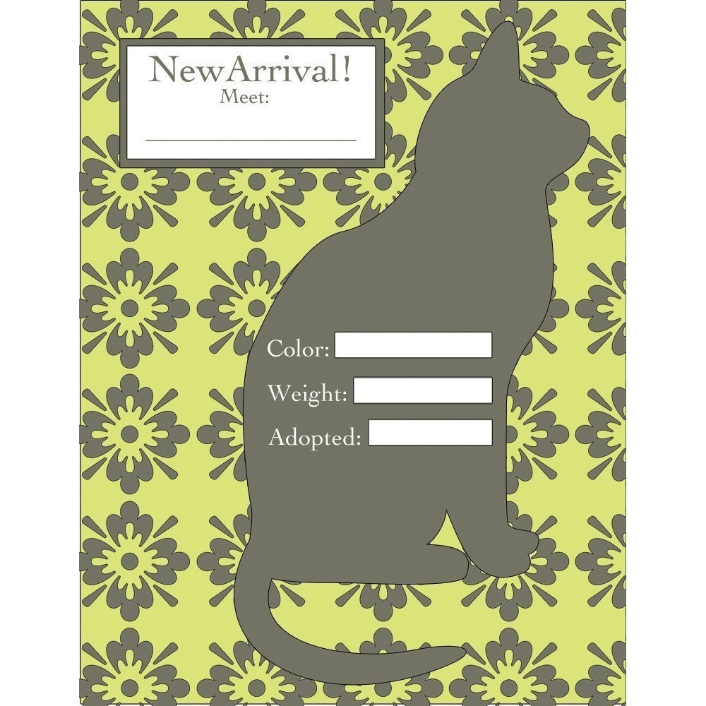 New Cat Announcement