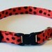 Paws 'n Tails Cat Collar ... Ladybug