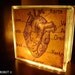 vintage anatomical heart double-sided LIGHTBOX / NIGHTLIGHT