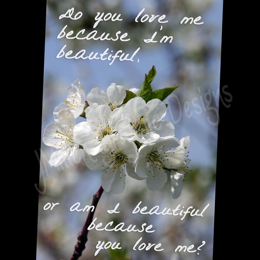 Beautiful - 5x7 cherry blossom all occasion card