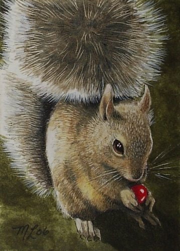 Squirrel and Berry  Art by Melody Lea Lamb ACEO Print