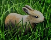 Baby Bunny in Spring Grass Art by Melody Lea Lamb ACEO Print