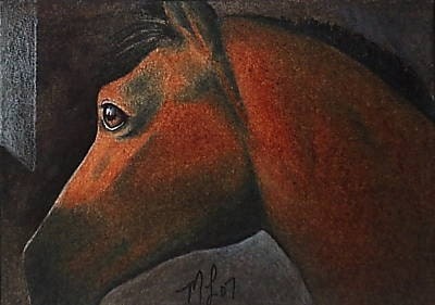 Horse Equine Animal Art Melody Lea Lamb ACEO Print