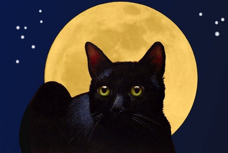 Black Cat and Full Moon Art Print Melody Lea Lamb