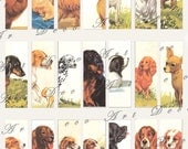 1 x 3 inch  vintage dogs ...cute and expressive....instant download... digital collage sheet no. 368