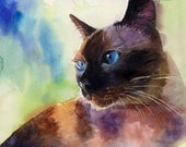 Applehead Siamese cat art Print of my watercolor painting          Applehead Lit