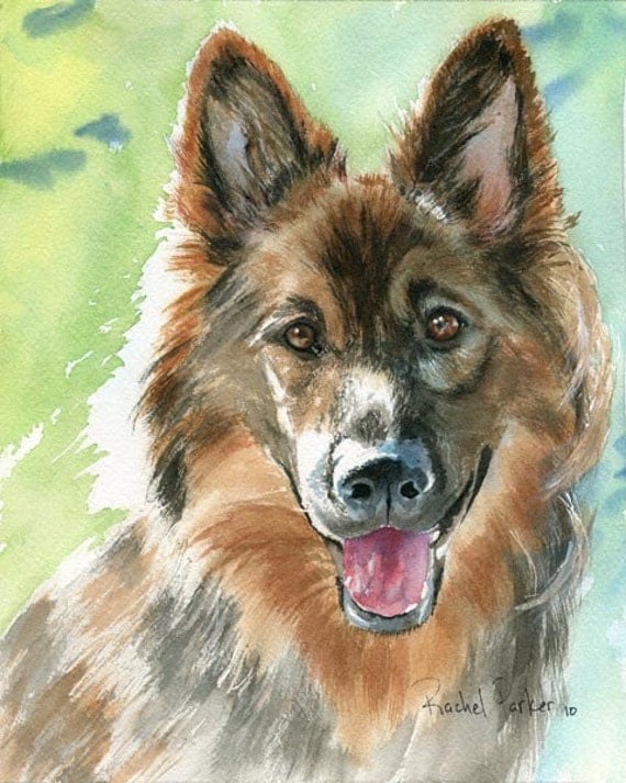 German Shiloh Shepherd Dog Art Print of my watercolor painting