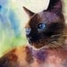 Applehead Siamese cat art Print of my watercolor painting Applehead Lit