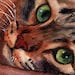 Tabby Cat Art Print of my Watercolor Painting .Floored II.