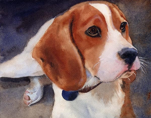 Online watercolor lessons - beginner tutorial - Learn to paint your pet tips ideas my secrets