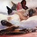Online watercolor lessons - beginner tutorial - Learn to paint your pet tips ideas my secrets