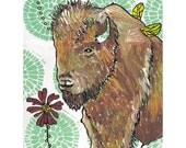 fly buffalo fly