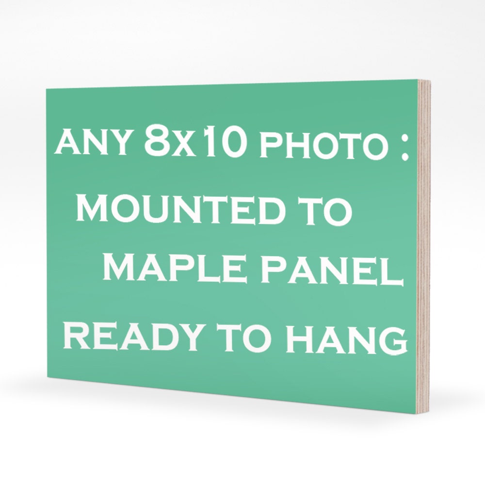 any 8" x 10" photograph mounted to 1/2" maple panel.  ready to hang.