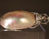 Unusual, Large, Mother of Pearl Dress Clip