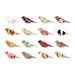 Patterned birds - 5x7 print -