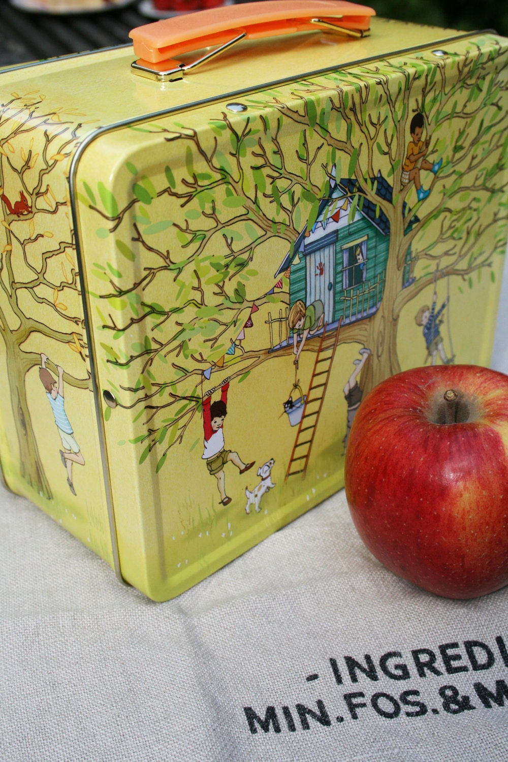 Pirate Party Lunch Box
