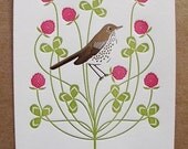vermont (from birds and blooms of the 50 states)