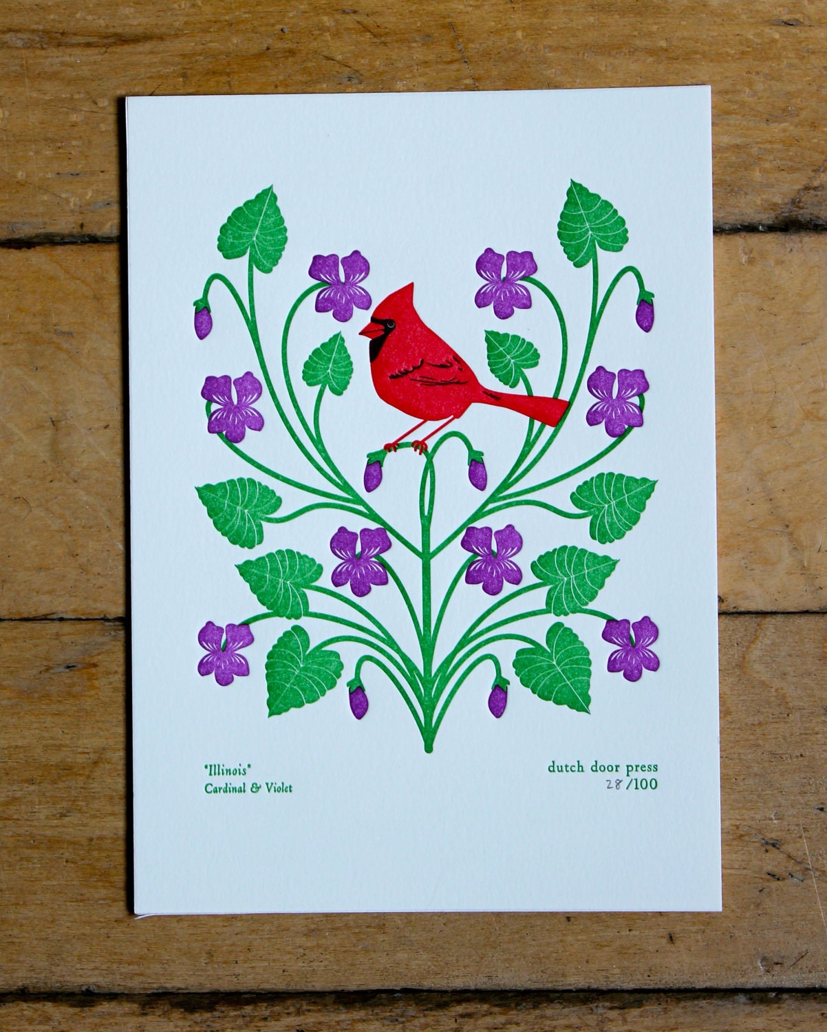 illinois (from birds and blooms of the 50 states)