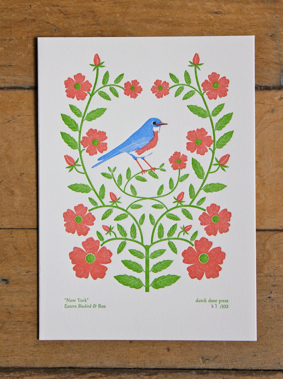 new york (from birds and blooms of the 50 states)