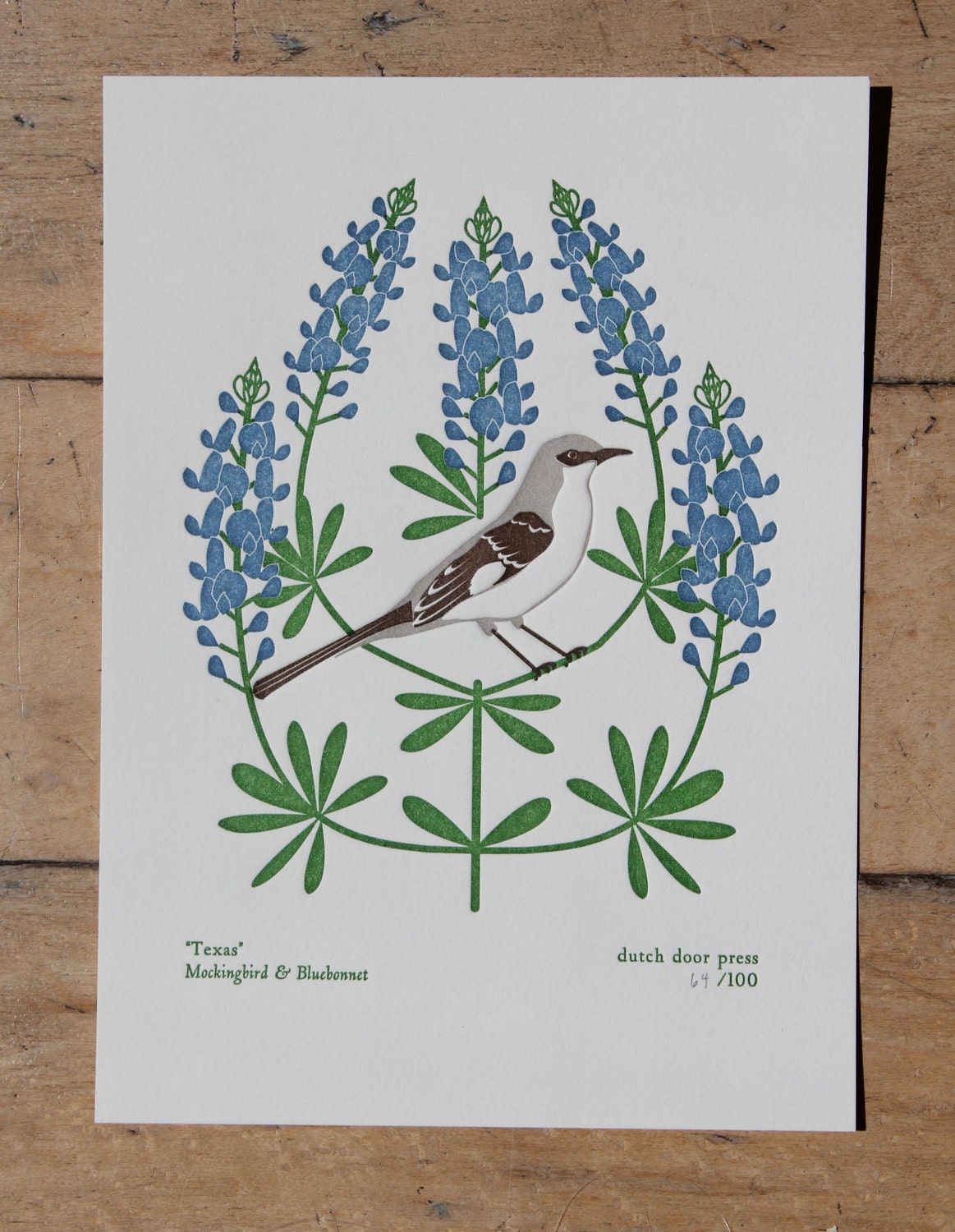 texas (from birds and blooms of the 50 states)