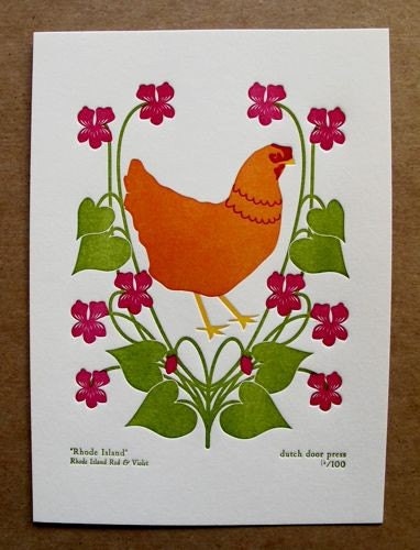 rhode island (from birds and blooms of the 50 states)