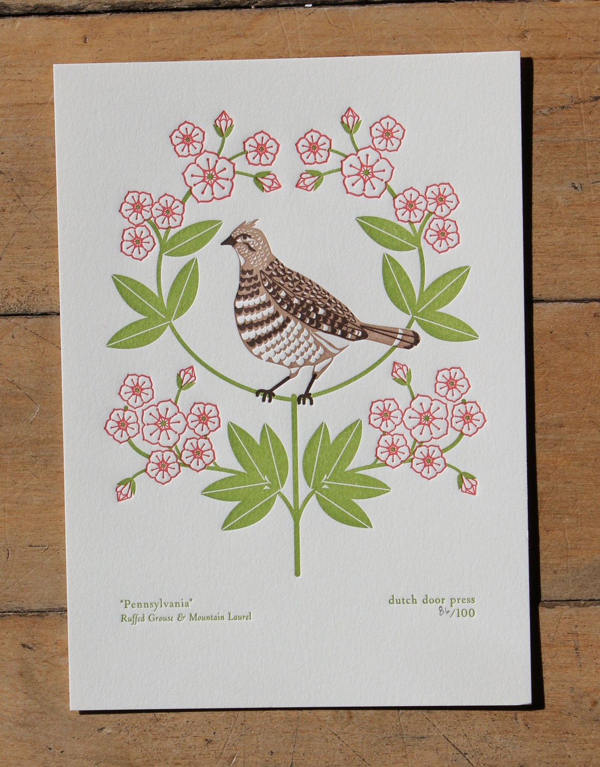 pennsylvania (from birds and blooms of the 50 states)