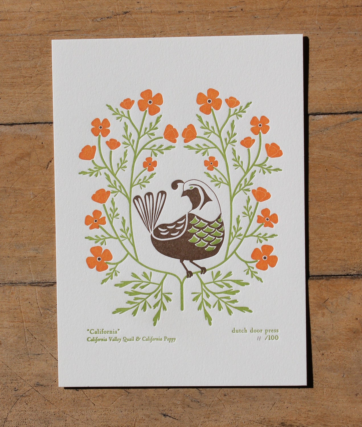california (from birds and blooms of the 50 states)