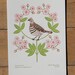 pennsylvania (from birds and blooms of the 50 states)