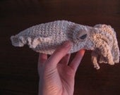 Pattern for Cuttlefish